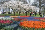 Button to see details and booking options for Magical Delft & The Keukenhof Estate: Tulips Galore