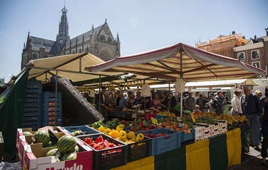 Weekly market in De Pijp district in Amsterdam, Holland